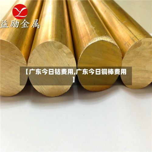 【广东今日钴费用,广东今日铜棒费用】