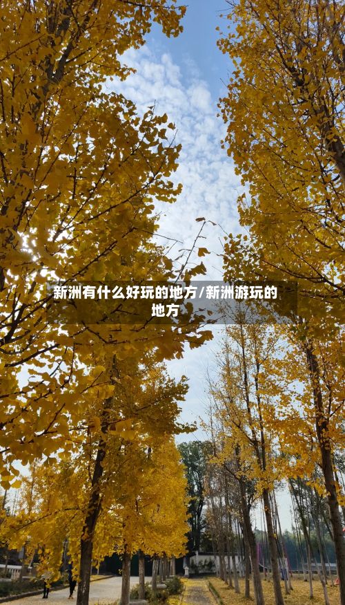 新洲有什么好玩的地方/新洲游玩的地方-第2张图片
