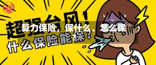 算力保险，保什么、怎么保？-第2张图片