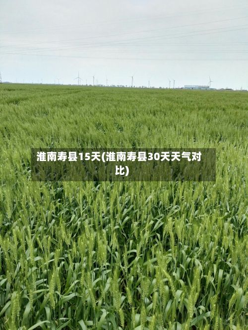淮南寿县15天(淮南寿县30天天气对比)-第2张图片