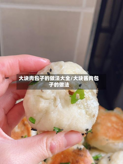 大块肉包子的做法大全/大块酱肉包子的做法-第2张图片