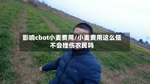 影响cbot小麦费用/小麦费用这么低不会挫伤农民吗-第2张图片