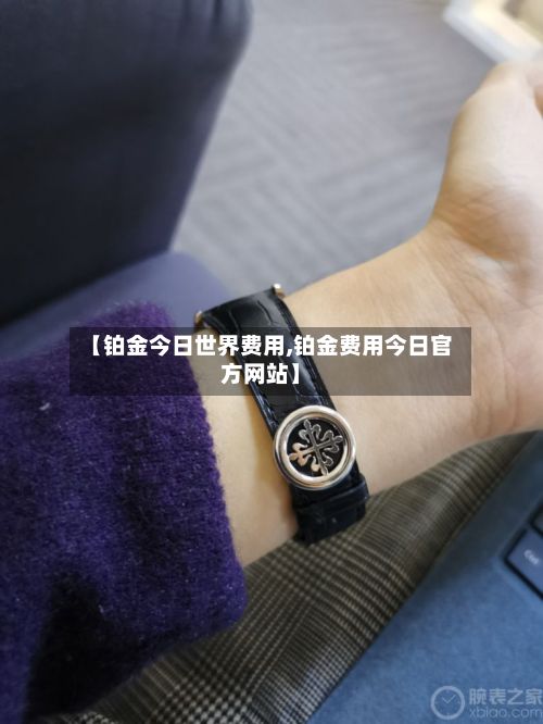 【铂金今日世界费用,铂金费用今日官方网站】-第2张图片