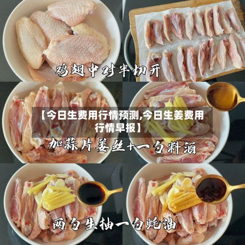 【今日生费用行情预测,今日生姜费用行情早报】