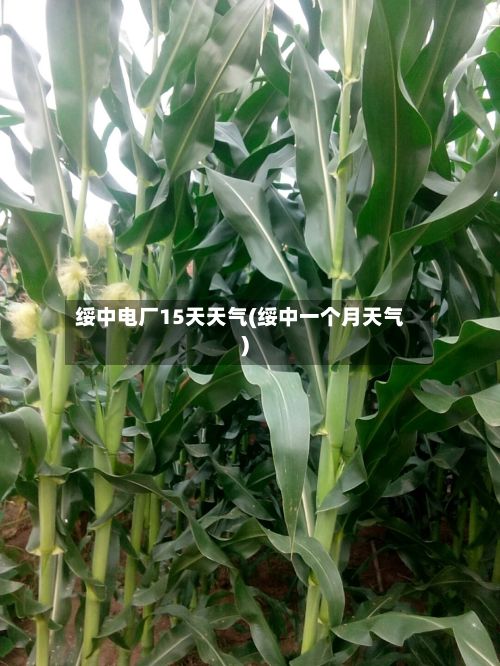 绥中电厂15天天气(绥中一个月天气)
