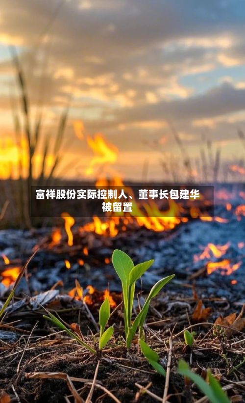 富祥股份实际控制人、董事长包建华被留置-第2张图片
