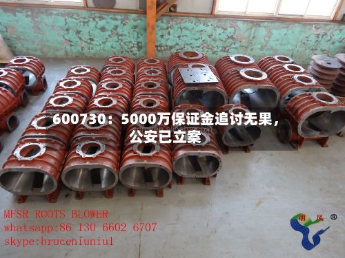 600730：5000万保证金追讨无果	，公安已立案-第2张图片