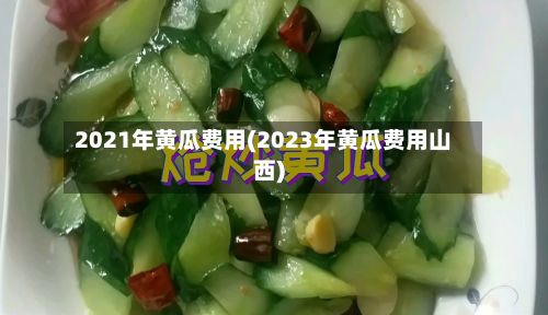 2021年黄瓜费用(2023年黄瓜费用山西)