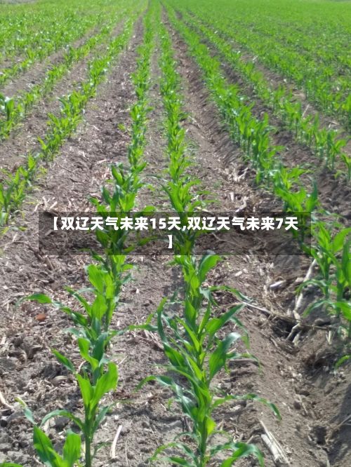 【双辽天气未来15天,双辽天气未来7天】-第3张图片