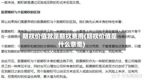 期权价值就是期权费用(期权价值是什么意思)-第3张图片