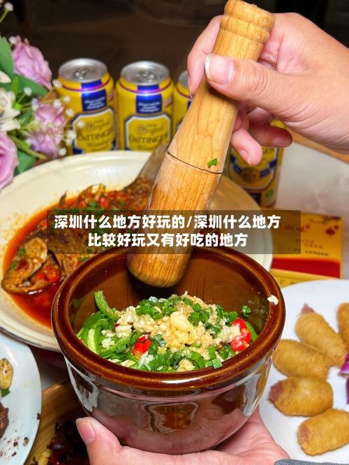 深圳什么地方好玩的/深圳什么地方比较好玩又有好吃的地方