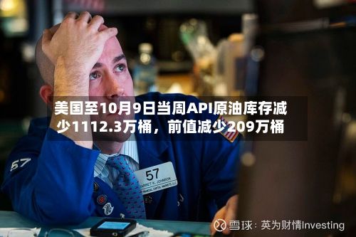 美国至10月9日当周API原油库存减少1112.3万桶，前值减少209万桶-第2张图片