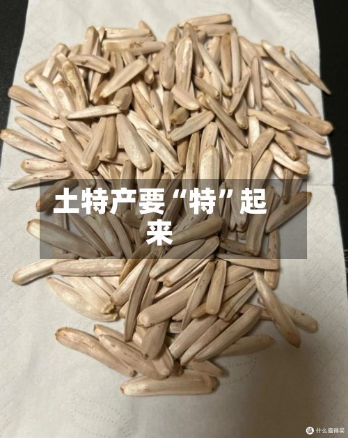 土特产要“特”起来-第2张图片