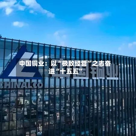 中国铜业：以“极致经营”之志奋进“十五五”-第3张图片
