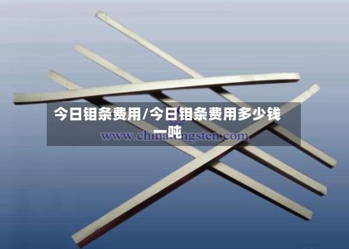 今日钼条费用/今日钼条费用多少钱一吨-第3张图片