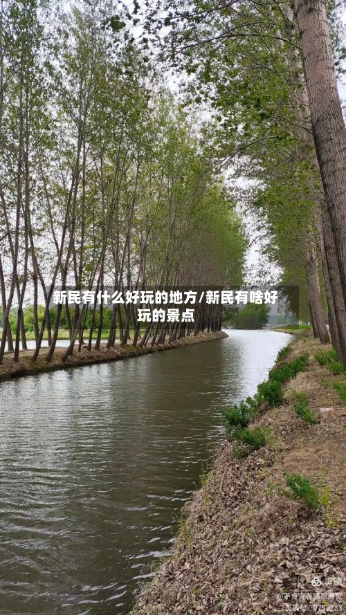 新民有什么好玩的地方/新民有啥好玩的景点