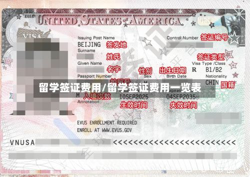 留学签证费用/留学签证费用一览表-第2张图片