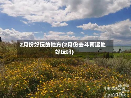 2月份好玩的地方(2月份去斗南湿地好玩吗)-第3张图片