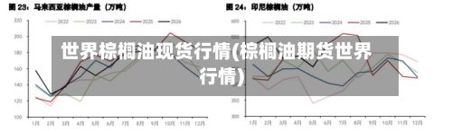 世界棕榈油现货行情(棕榈油期货世界行情)