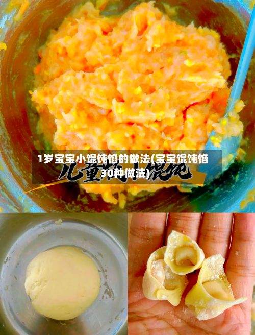 1岁宝宝小馄饨馅的做法(宝宝馄饨馅30种做法)