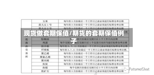 现货做套期保值/期货的套期保值例子
