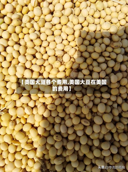 【美国大豆各个费用,美国大豆在美国的费用】-第2张图片