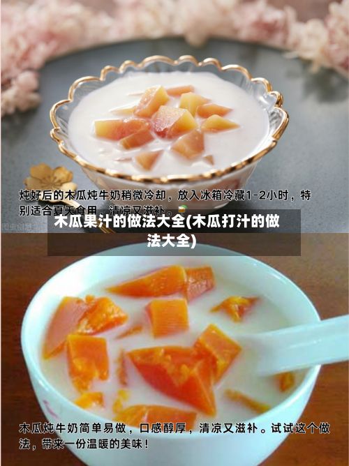 木瓜果汁的做法大全(木瓜打汁的做法大全)