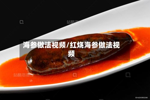 海参做法视频/红烧海参做法视频