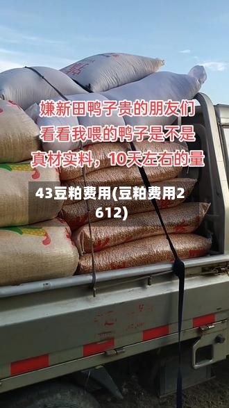 43豆粕费用(豆粕费用2612)-第2张图片