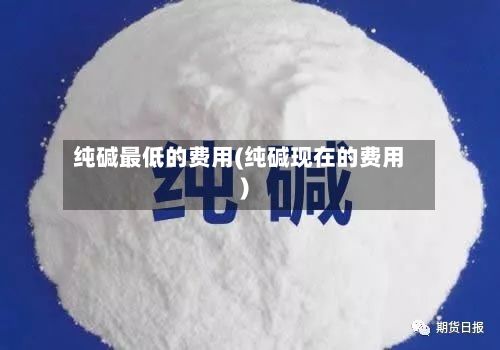 纯碱最低的费用(纯碱现在的费用)