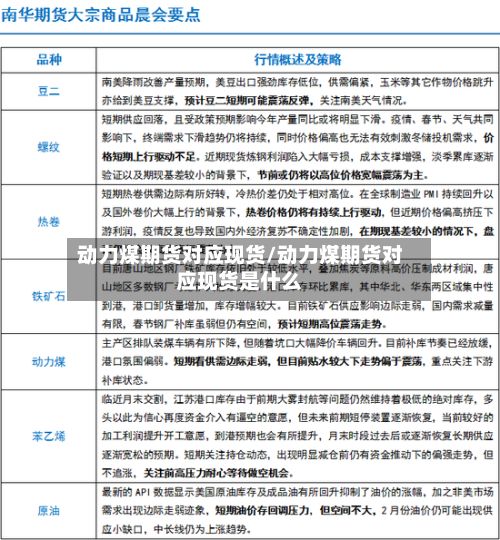 动力煤期货对应现货/动力煤期货对应现货是什么-第3张图片