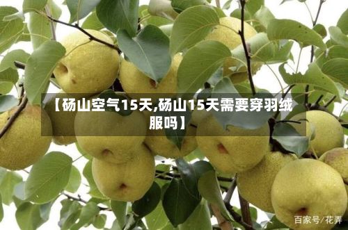 【砀山空气15天,砀山15天需要穿羽绒服吗】