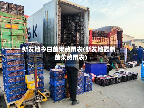 新发地今日蔬果费用表(新发地最新蔬菜费用表)