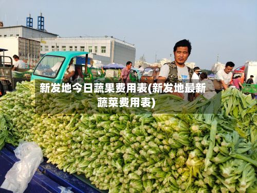 新发地今日蔬果费用表(新发地最新蔬菜费用表)-第3张图片