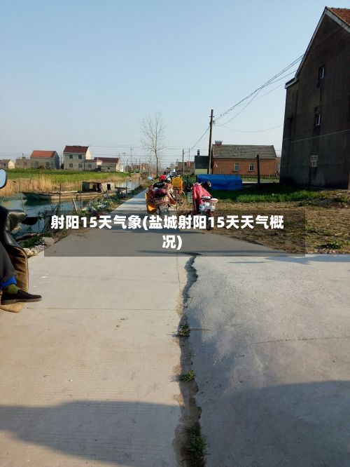射阳15天气象(盐城射阳15天天气概况)