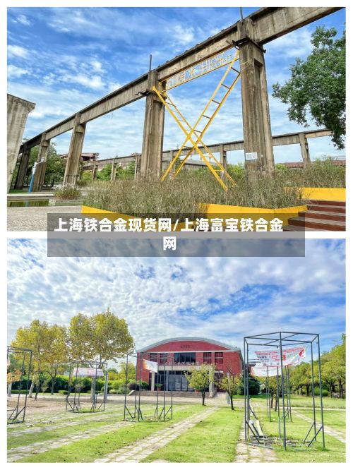 上海铁合金现货网/上海富宝铁合金网-第2张图片