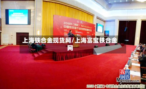 上海铁合金现货网/上海富宝铁合金网