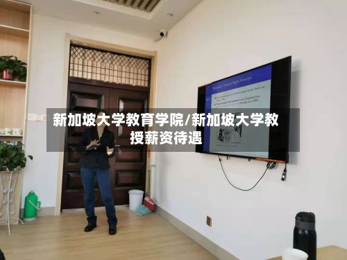 新加坡大学教育学院/新加坡大学教授薪资待遇