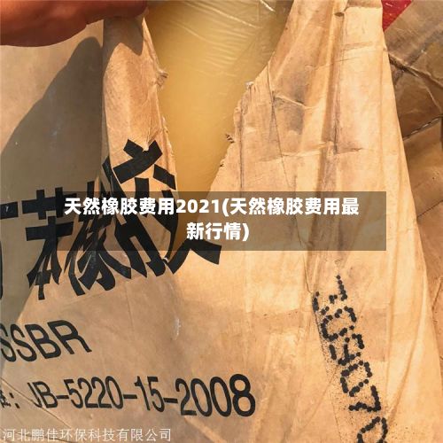 天然橡胶费用2021(天然橡胶费用最新行情)-第2张图片