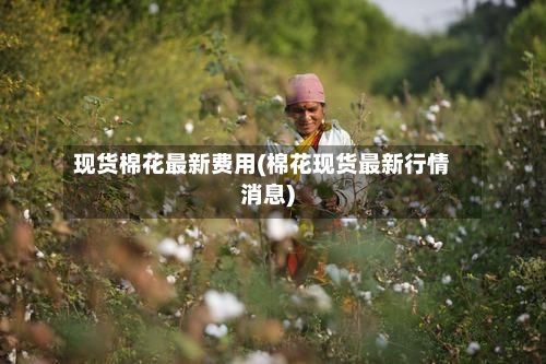 现货棉花最新费用(棉花现货最新行情消息)-第2张图片