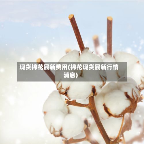 现货棉花最新费用(棉花现货最新行情消息)-第3张图片