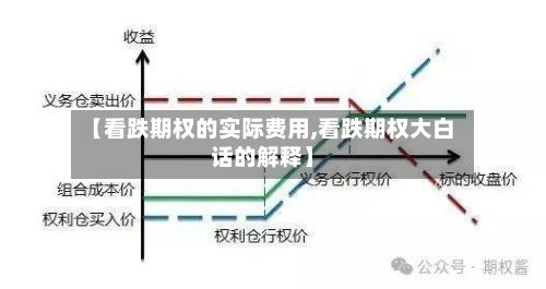 【看跌期权的实际费用,看跌期权大白话的解释】