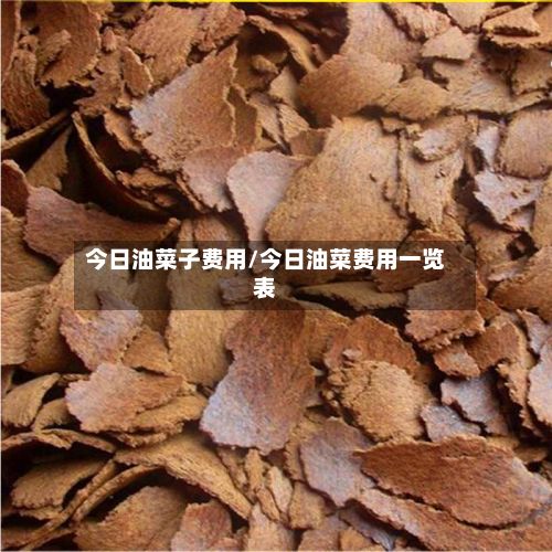 今日油菜子费用/今日油菜费用一览表