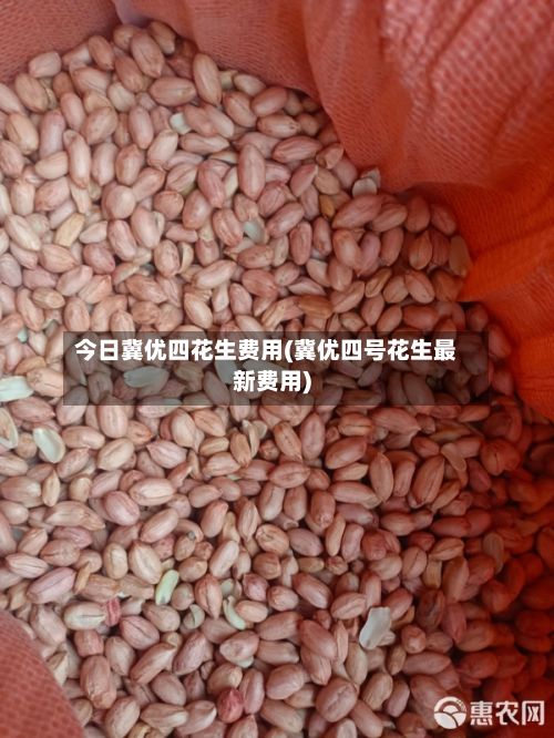 今日冀优四花生费用(冀优四号花生最新费用)-第2张图片