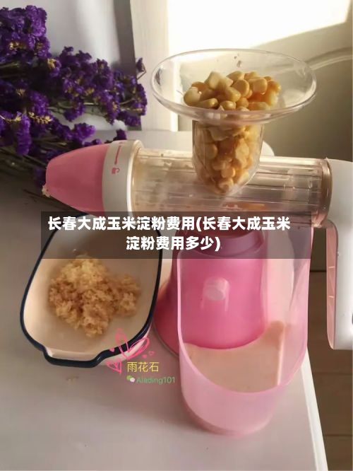 长春大成玉米淀粉费用(长春大成玉米淀粉费用多少)-第2张图片