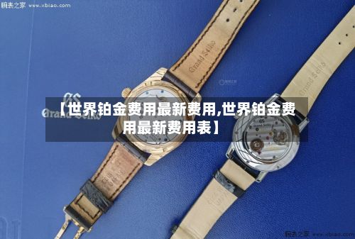 【世界铂金费用最新费用,世界铂金费用最新费用表】