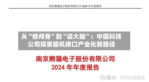 从“修颅骨	”到“读大脑”：中国科技公司探索脑机接口产业化新路径-第3张图片