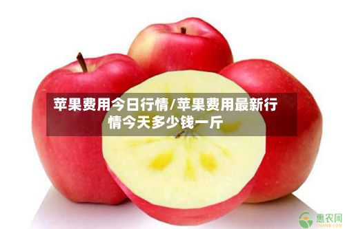 苹果费用今日行情/苹果费用最新行情今天多少钱一斤-第2张图片