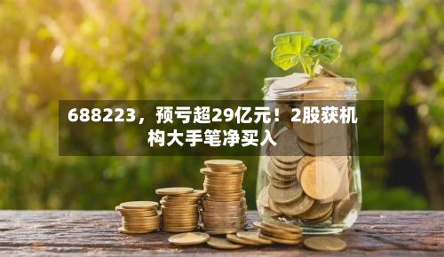 688223	，预亏超29亿元！2股获机构大手笔净买入-第1张图片