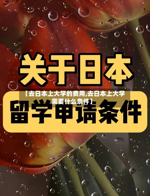 【去日本上大学的费用,去日本上大学需要什么条件】-第3张图片